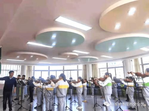 2021年度藝術(shù)進校園器樂輔導(dǎo)課程